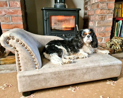 Letto per cani chaise longue - chaise,
